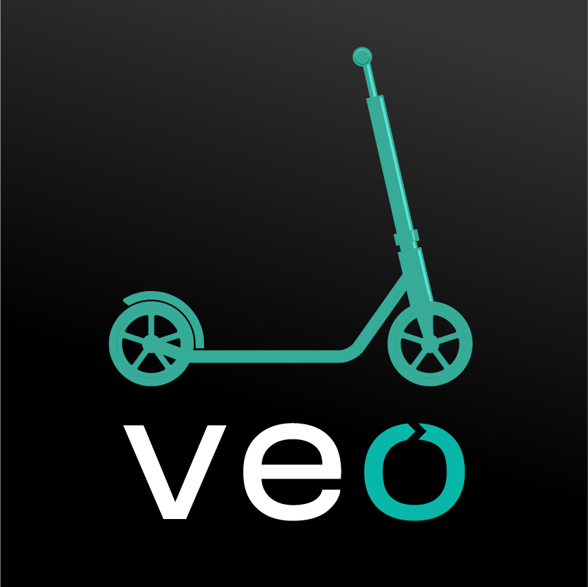 veo-web-widget.png